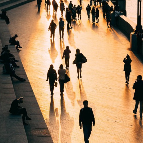 Visa Consultancy Firm