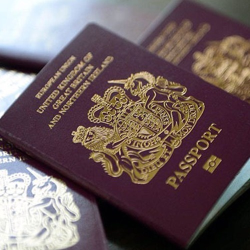 Visa Consultancy Firm